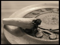 Keep Off The Grass! The Drug Policy Alliance Director Discusses LEGAL WEED in Colorado & Washington (VIDEO) WEED3